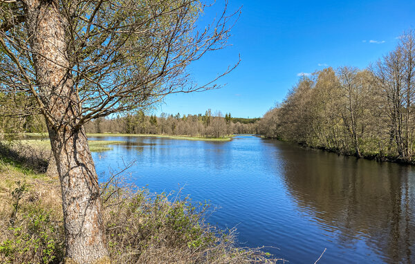 Ferienhaus - Hok/Jönköping/Skillingaryd , Schweden - S30623 903