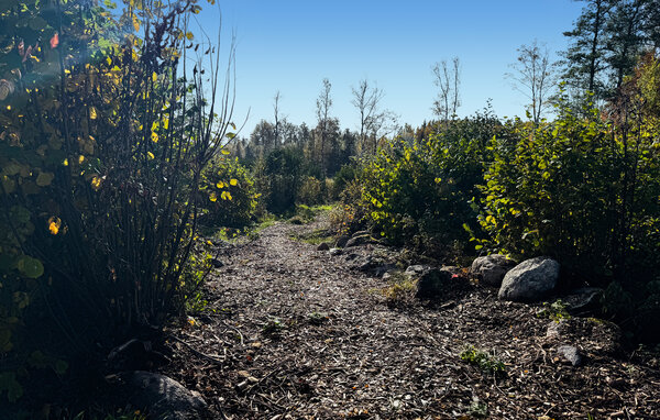 Ferienhaus - Sävsjö , Schweden - S30660 901