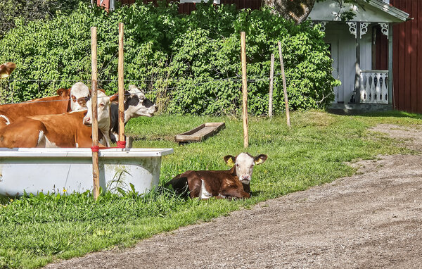 Vakantiehuis - Vaggeryd Jönköping , Zweden - S30669 101