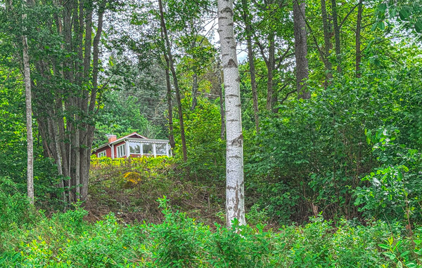 Ferienhaus - Vimmerby , Schweden - S30731 81