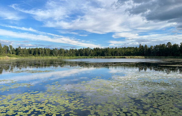 Semesterhus - Tranås Gränna , Sverige - S30744 901