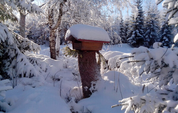 Holiday Home - Älgkulle/Värnamo , Sweden - S30832 84