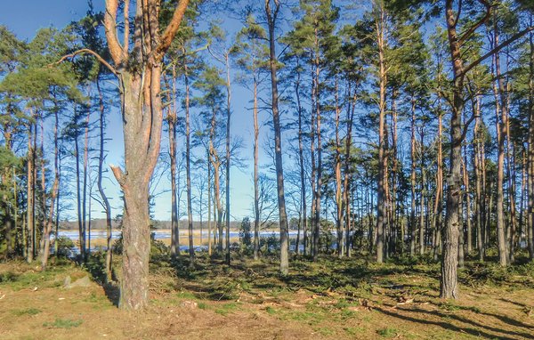 Semesterhus - Rafshagen/Kalmar , Sverige - S35077 2