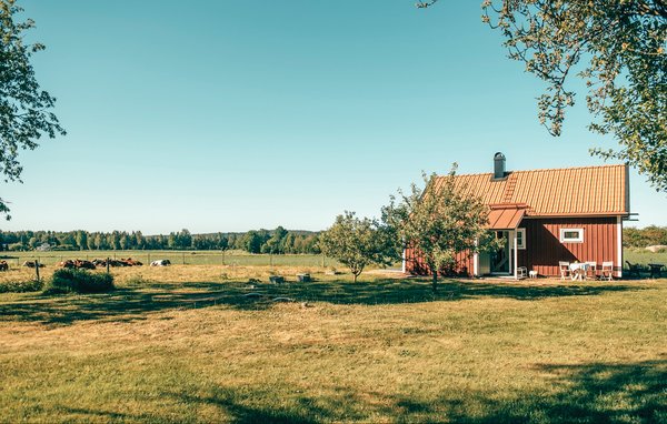 Ferienhaus 