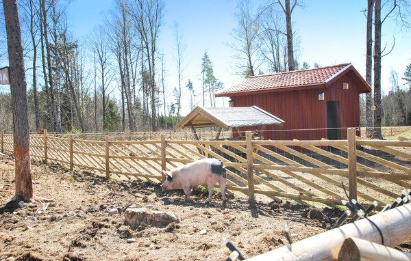 Ferienhaus - Kosta Lodge , Schweden - S35348 905