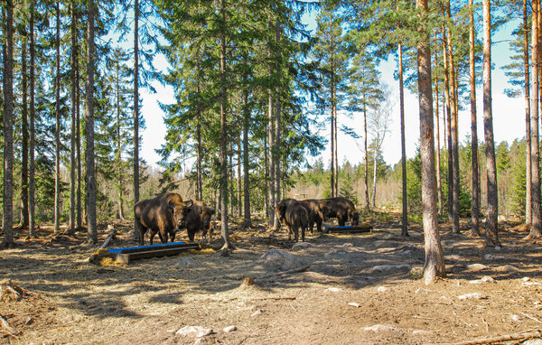 Holiday Home - Kosta Lodge , Sweden - S35353 903