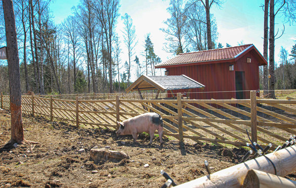 Holiday Home - Kosta Lodge , Sweden - S35353 909