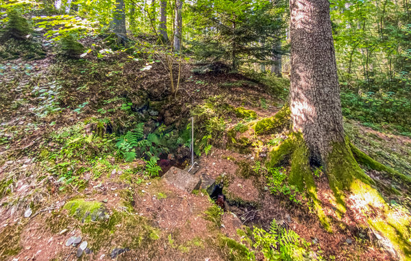 Semesterhus - Källdalen/Nybro , Sverige - S35623 6