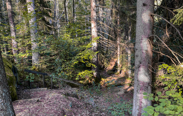 Feriebolig Stuga 6