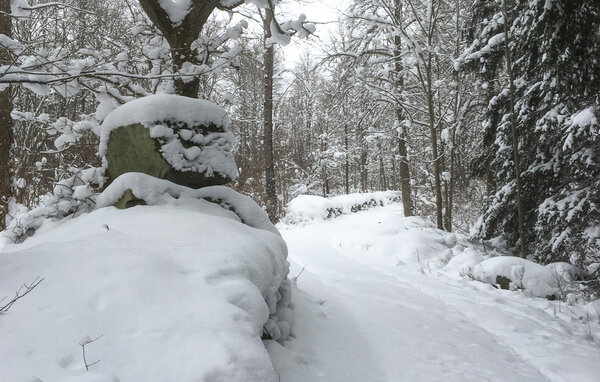 Feriehuse - Torsås Kalmar , Sverige - S35716 901