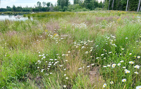 Feriehuse - Torsås Kalmar , Sverige - S35716 101