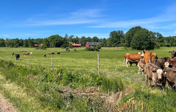 Semesterhus - Vimmerby Gamleby , Sverige - S35771 103