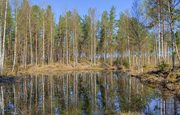 Ferienhaus - Nybro/Långa Slät , Schweden - S35774 9