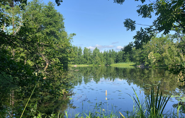 Holiday Home - Mönsterås/Lilla Forsa , Sweden - S35775 9