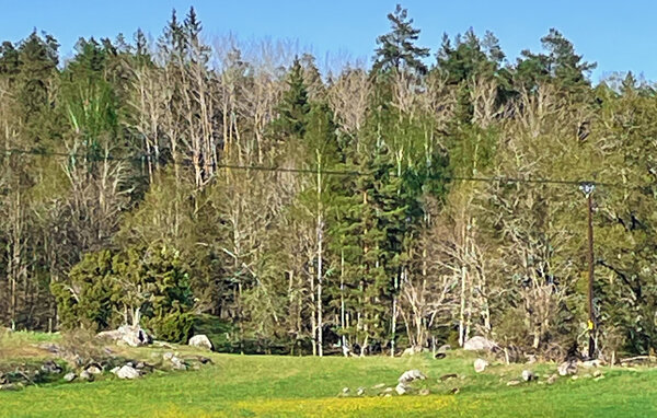 Ferienhaus - Gamleby Västervik , Schweden - S35889 904
