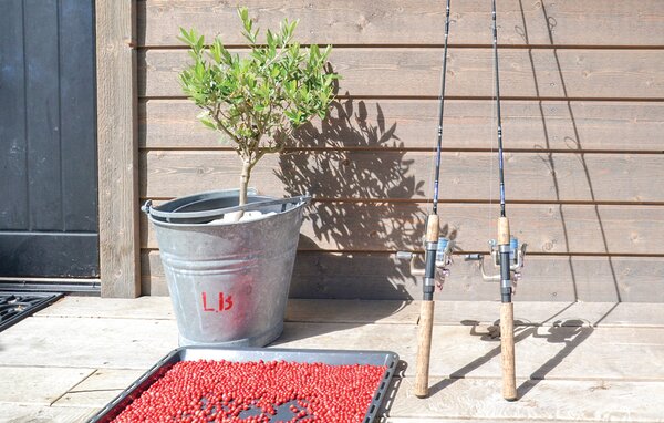 Semesterhus - Figeholm/Oskarshamn/Kalmar , Sverige - S35890 801