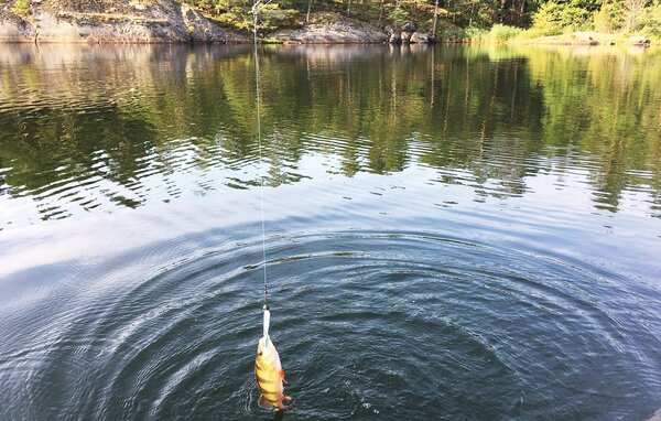 Semesterhus - Figeholm/Oskarshamn/Kalmar , Sverige - S35890 802