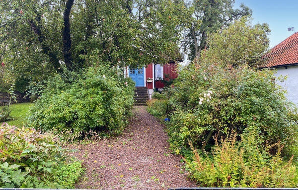 Location de vacances - Mörbylånga/Mysinge , Suède - S40504 82