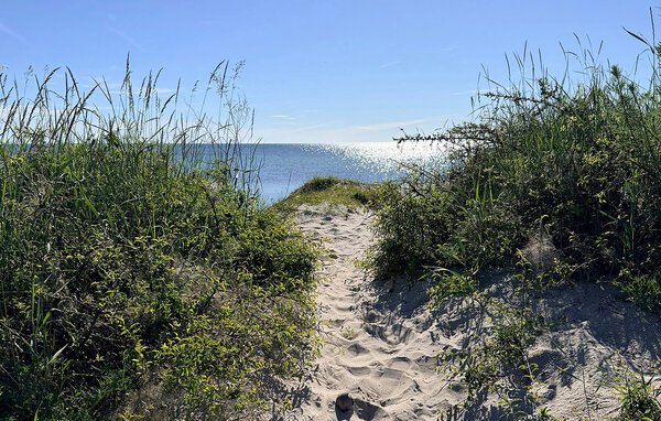 Location de vacances - Köpingsvik/Kårehamn , Suède - S40505 903
