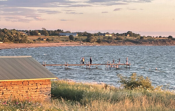 Kuća-za-odmor - Borgholm/Djupvik , Svedska - S41861 902