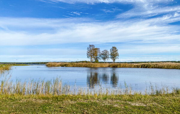 Ferienhaus - Grankullavik/Byxelkrok , Schweden - S41951 902