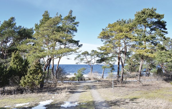 Vakantiehuis - Brissund/Väskinde , Zweden - S42195 903