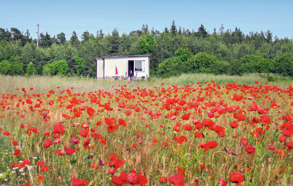 Vakantiehuis 