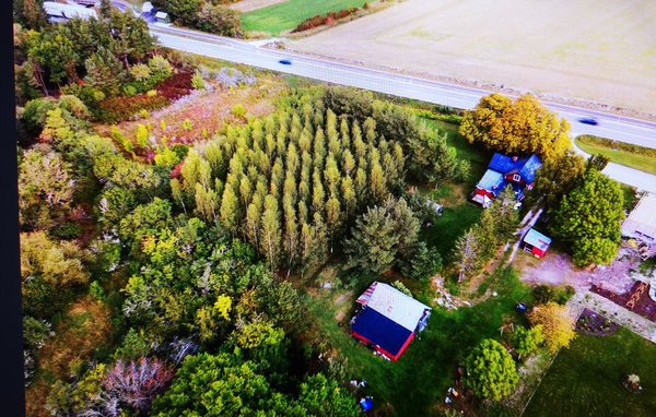 Holiday Home - Klintehamn , Sweden - S42584 901