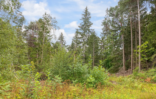 Semesterhus - Lärbro , Sverige - S42656 102
