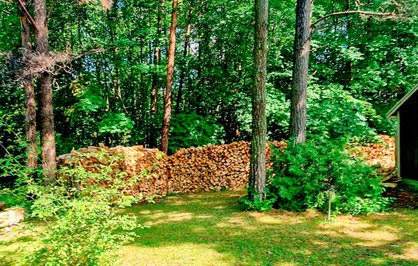 Domy wakacyjne - Stånga Gumbalde , Szwecja - S42714 102