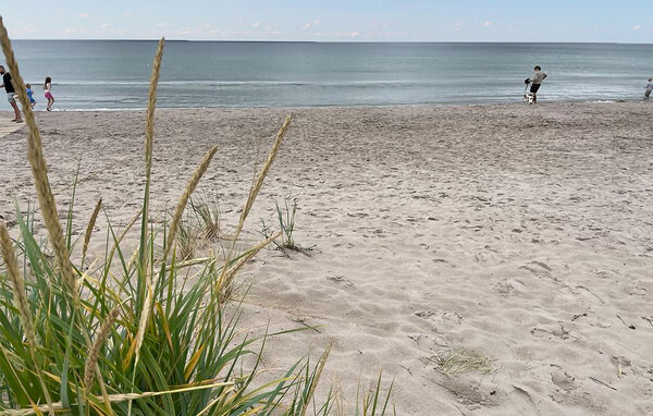 Ferienwohnung - Gotlands Tofta , Schweden - S42717 901