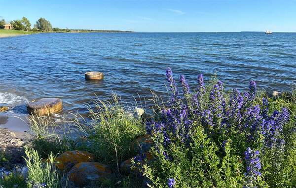 Ferienwohnung - Gotlands Tofta , Schweden - S42717 902