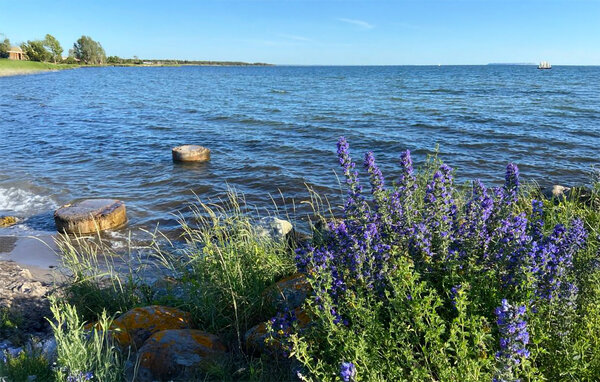 Ferienhaus - Gotlands Tofta , Schweden - S42718 902