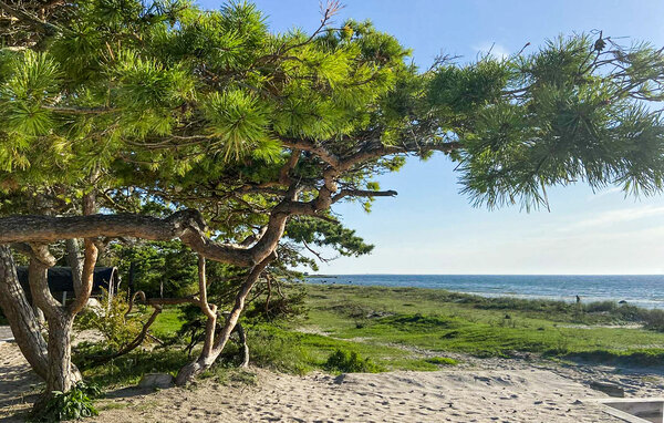 Holiday Home - Gotlands Tofta , Sweden - S42718 6