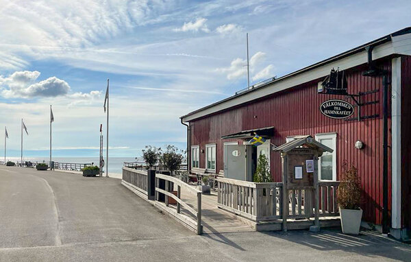 Domy wakacyjne - Klintehamn , Szwecja - S42722 906