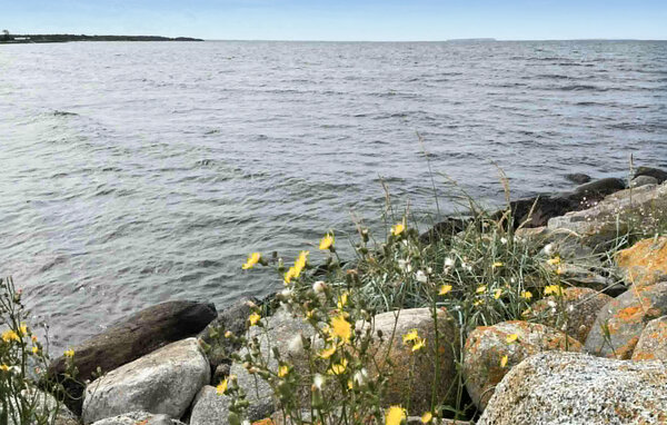 Feriehus - Klintehamn , Sverige - S42722 909