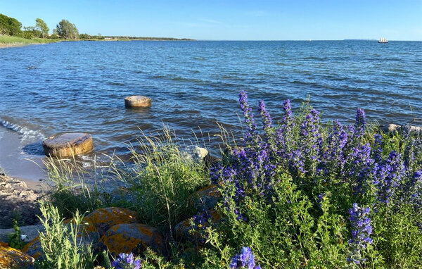 Ferienhaus - Sanda/Tofta , Schweden - S42723 902