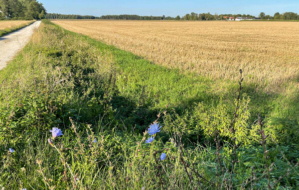 Holiday Home - Vallstena , Sweden - S42729 902