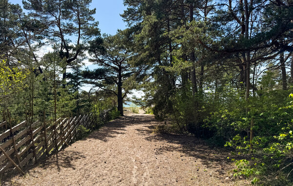 Semesterhus - Gotland Tofta , Sverige - S42809 901