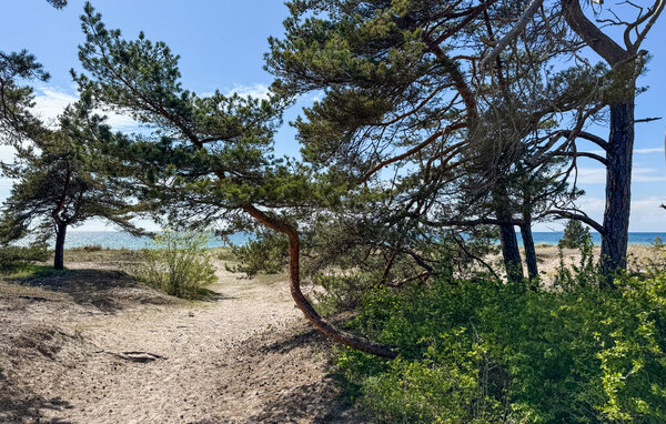 Semesterhus - Gotland Tofta , Sverige - S42809 902