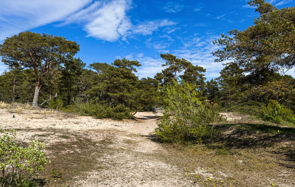 Semesterhus - Gotland Tofta , Sverige - S42809 905