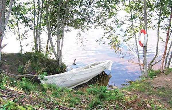 Ferienhaus - Hagfors , Schweden - S45015 902