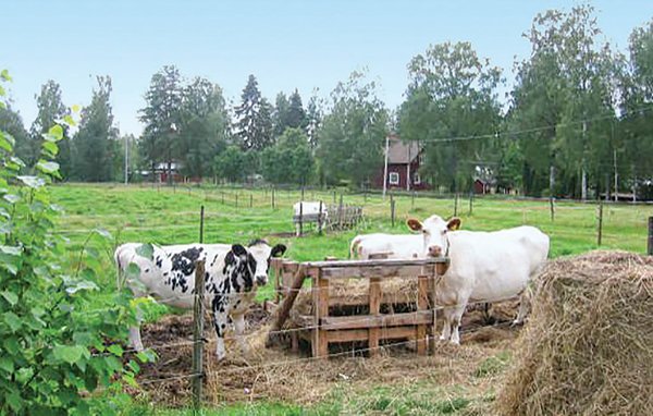 Ferienhaus - Hagfors , Schweden - S45015 101