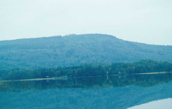 Vakantiehuis 