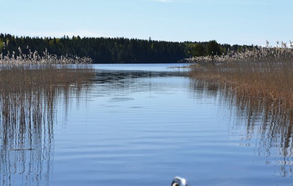 Ferienhaus - Köpmannebro , Schweden - S45702 901
