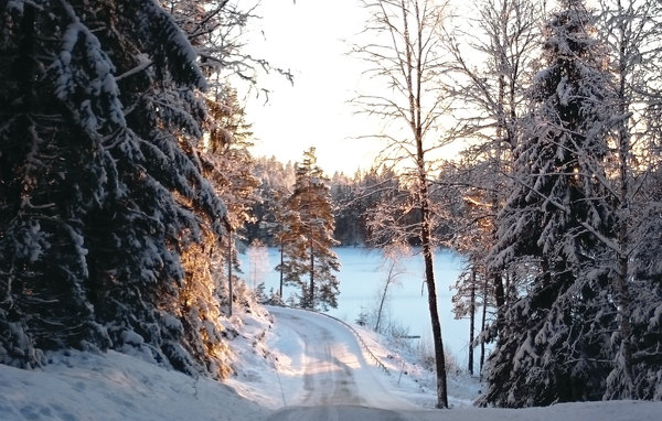 Semesterhus - Båtstadsviken/Östra Viker , Sverige - S45939 918