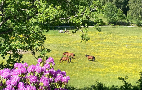 Semesterhus - Ljungskile , Sverige - S50044 6