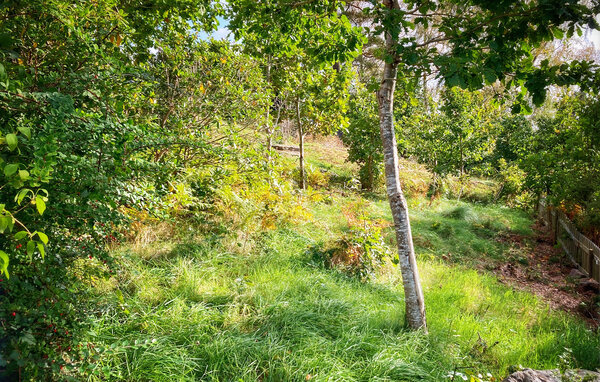 Semesterhus - Ljungskile , Sverige - S50044 102