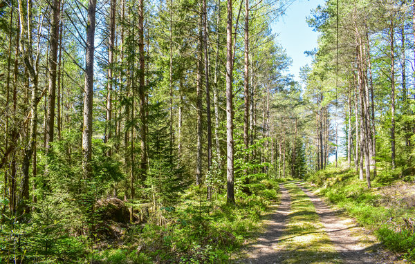 Feriebolig 