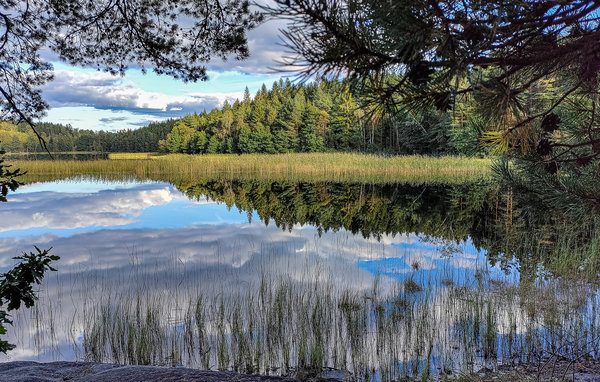 Semesterhus - Hällingsjö , Sverige - S50450 8